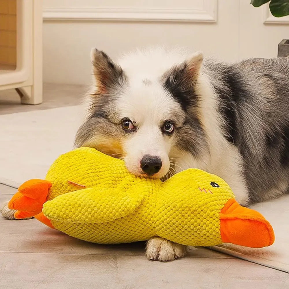 Interactive Quacking Duck Toy for Dog with Real Quack Sound,Stuffed Duck Toy