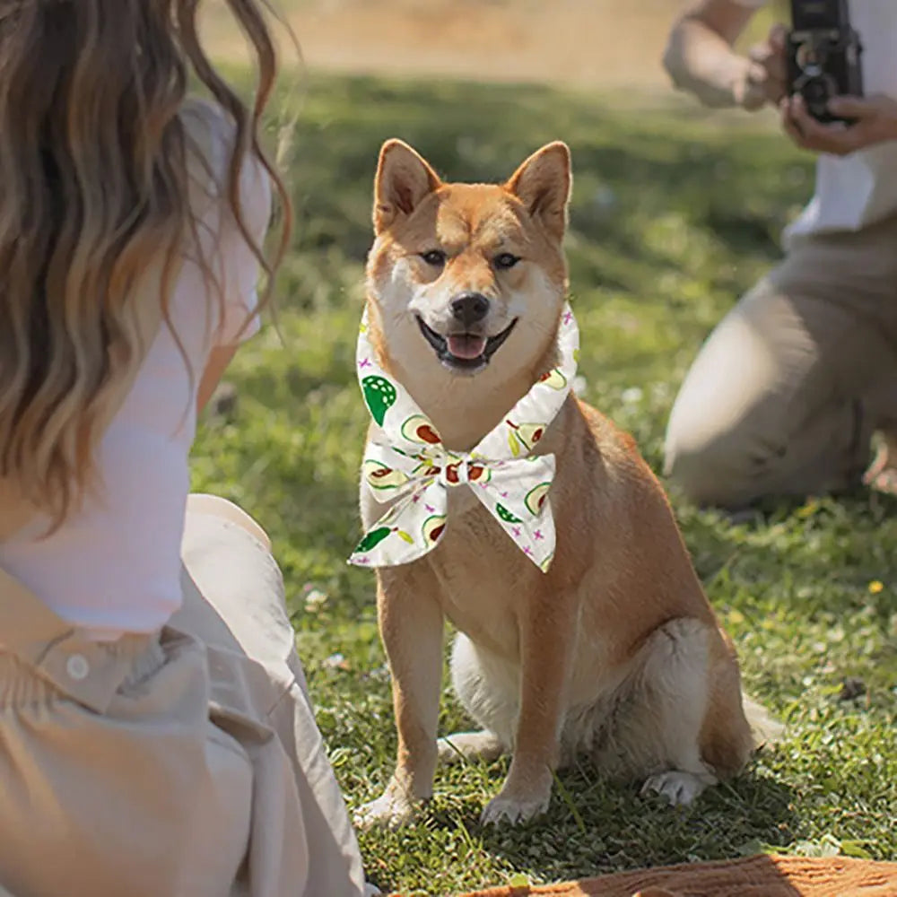 Durable Cute Dog Cooling Bandana Adjustable Fast Cooling Cat Cooling Ice Scarf Reusable Pet Supplies Pet