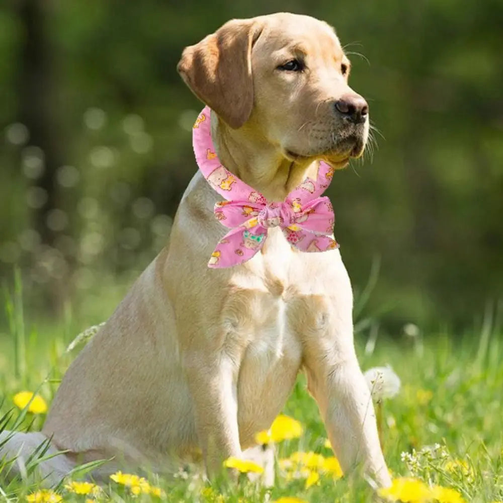 Durable Cute Dog Cooling Bandana Adjustable Fast Cooling Cat Cooling Ice Scarf Reusable Pet Supplies Pet