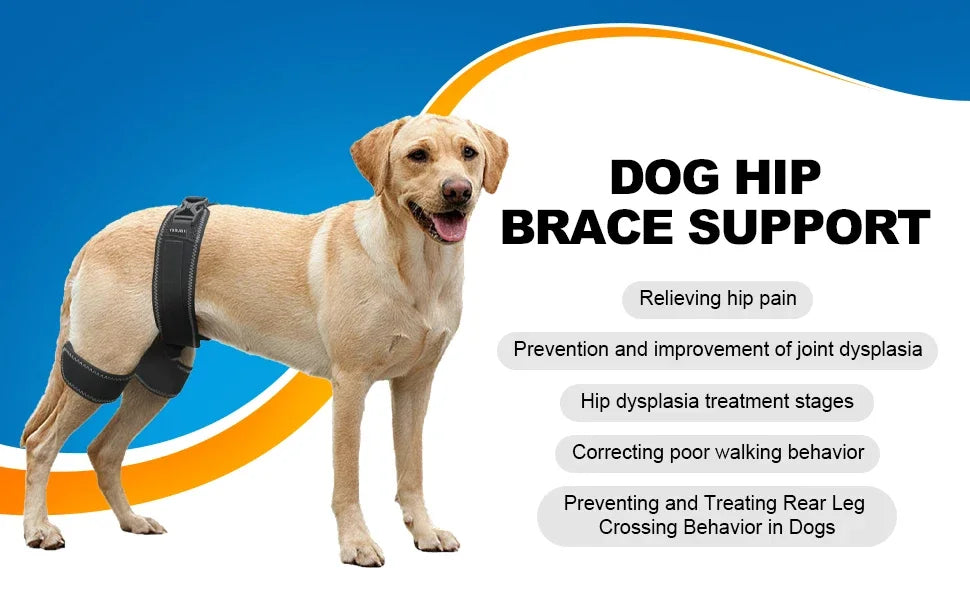 Dog Hip Orthotics Brace,Support for Hip Dysplasia,Relieve Pain Prevent Hip Joint , Better Injury Recovery for Dog Surgery