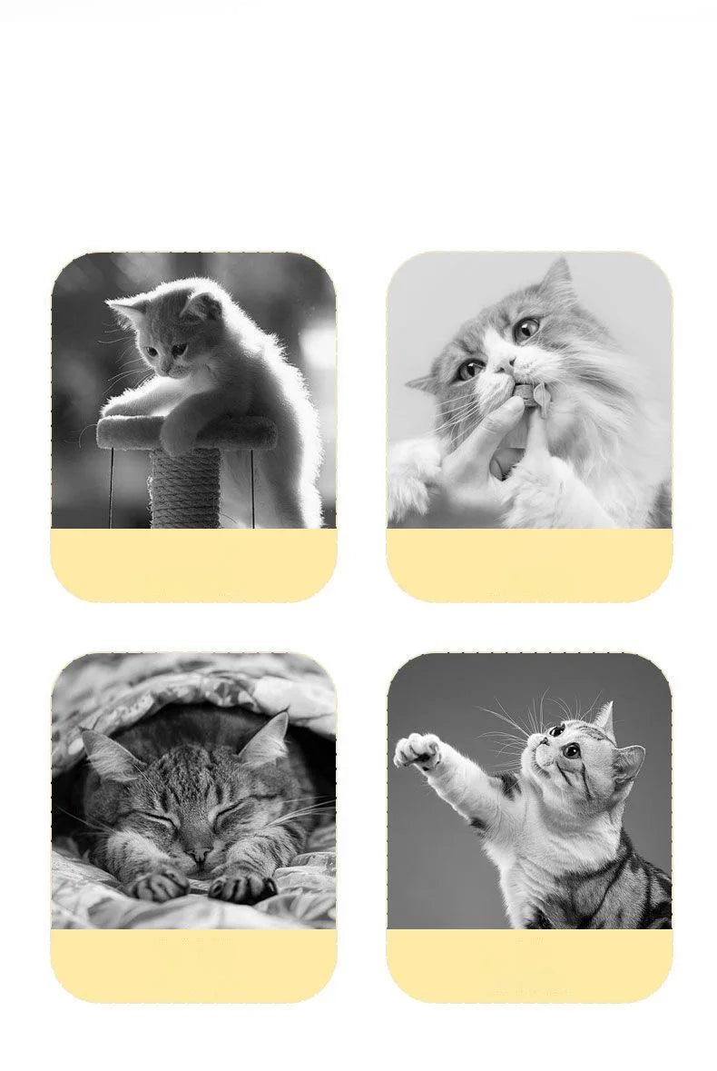 Cat toys since Hi Cat Baton Cat Roulette Kitten Laser Cat Toy Cat Toy Kitten toy set kitten supplies