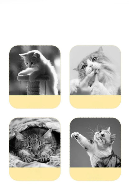 Cat toys since Hi Cat Baton Cat Roulette Kitten Laser Cat Toy Cat Toy Kitten toy set kitten supplies