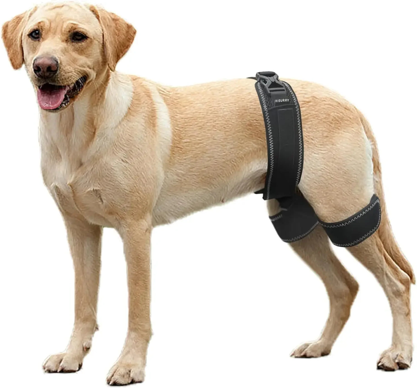 Dog Hip Orthotics Brace,Support for Hip Dysplasia,Relieve Pain Prevent Hip Joint , Better Injury Recovery for Dog Surgery