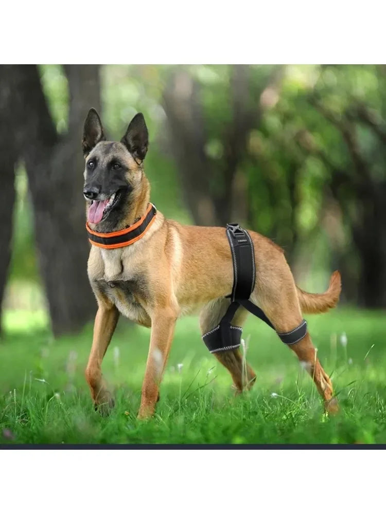 Dog Hip Orthotics Brace,Support for Hip Dysplasia,Relieve Pain Prevent Hip Joint , Better Injury Recovery for Dog Surgery